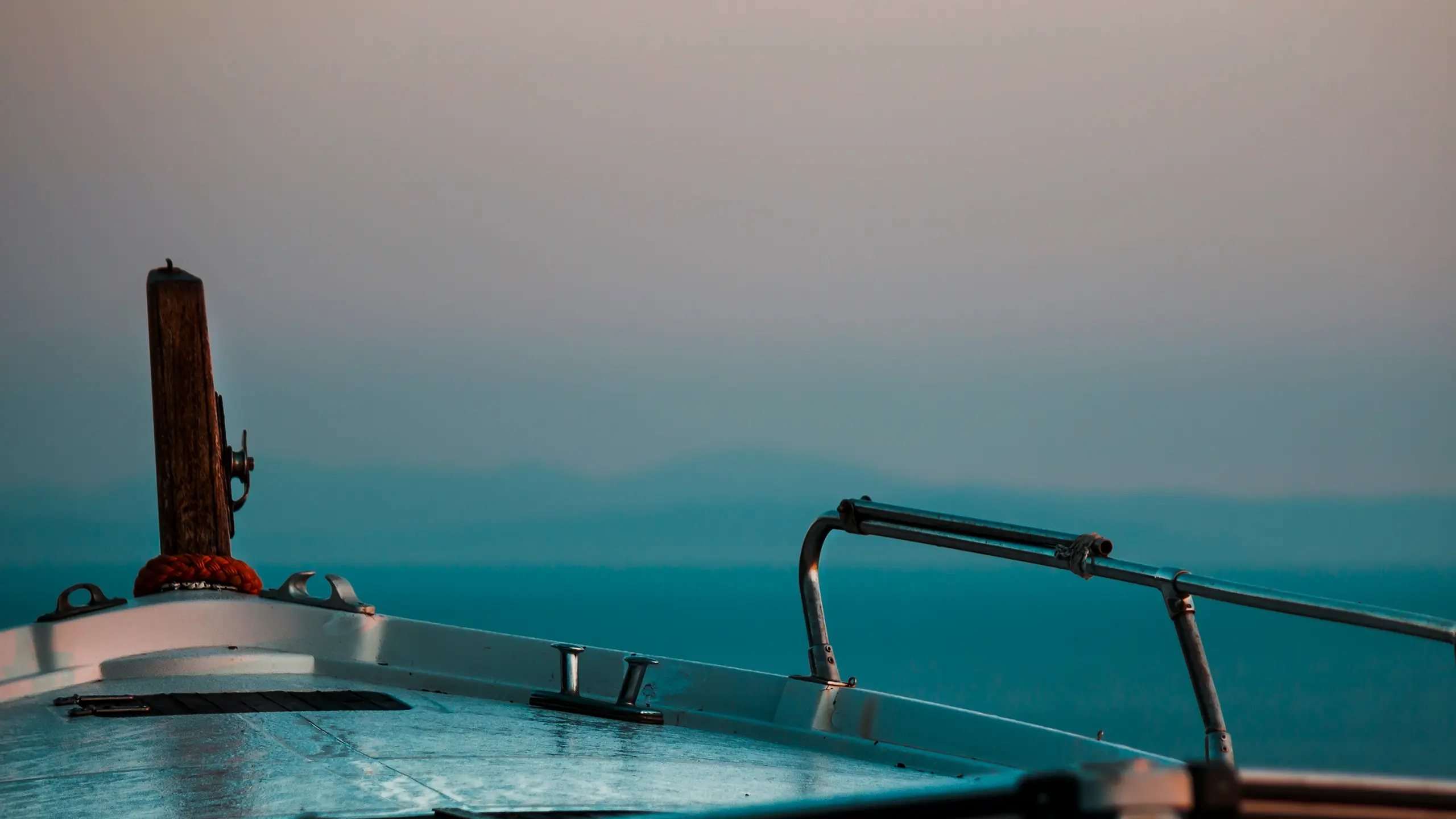 AMAREE_header.jpg