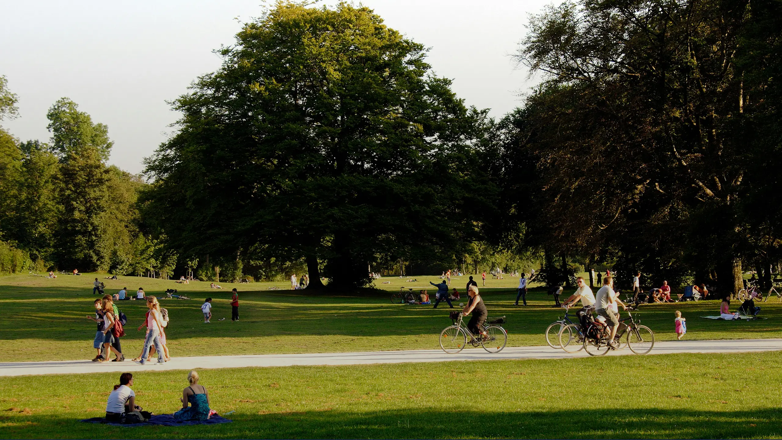 CCSC_header.jpg