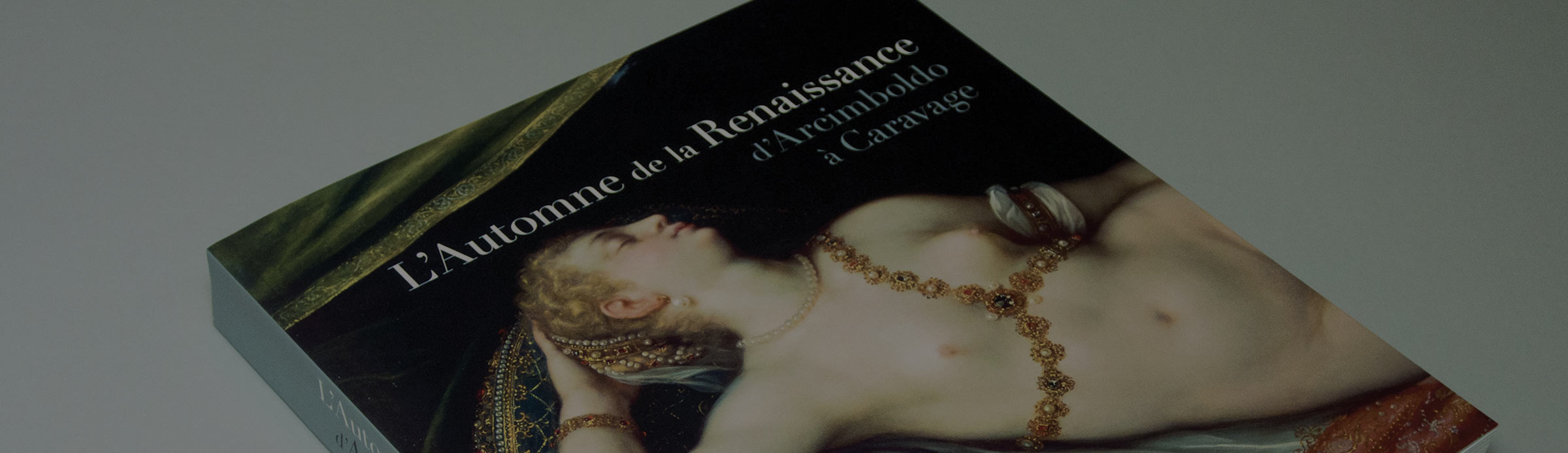 somogy_header.jpeg