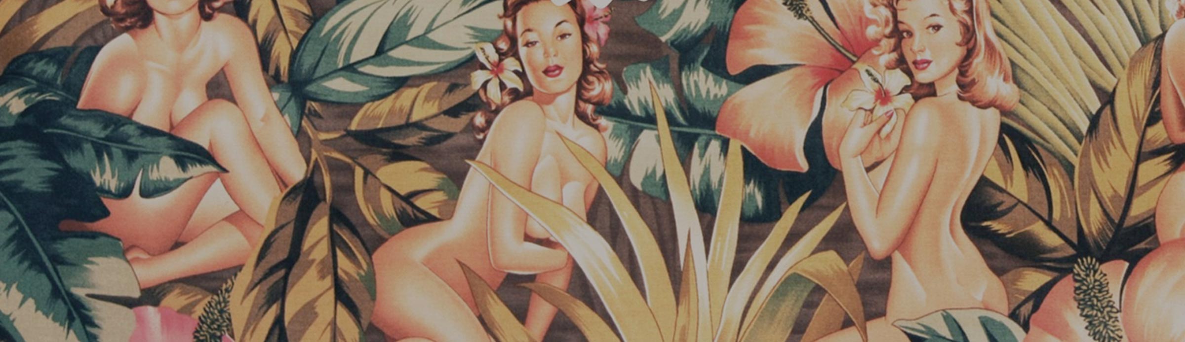 nanas_header.jpeg