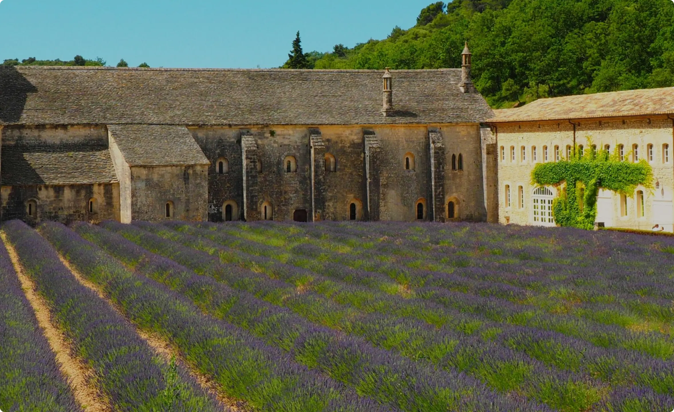 ABBAYE_NOTRE-DAME_DE_CITEAUX_header.jpg