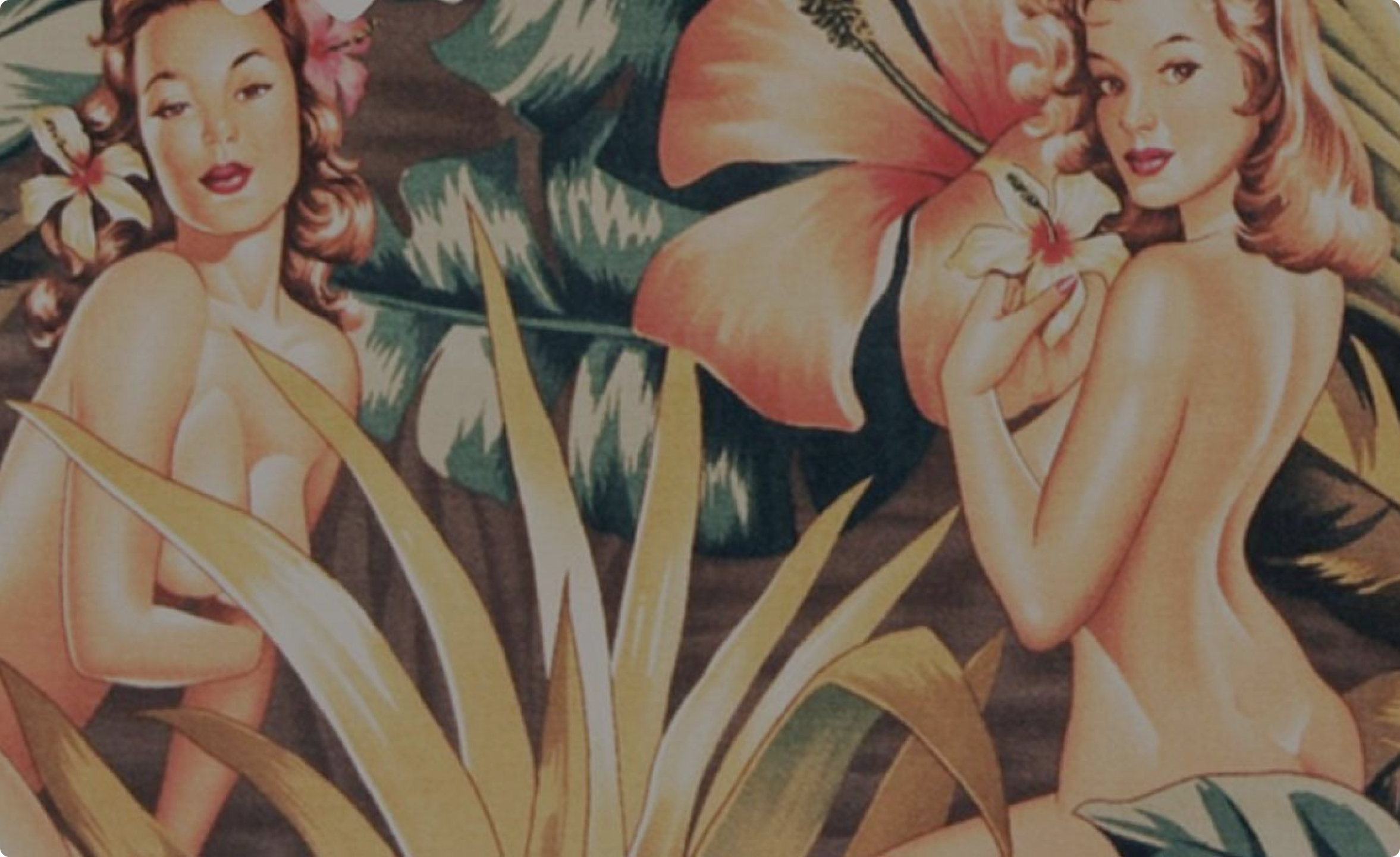 NANA_PANAME_header.jpg