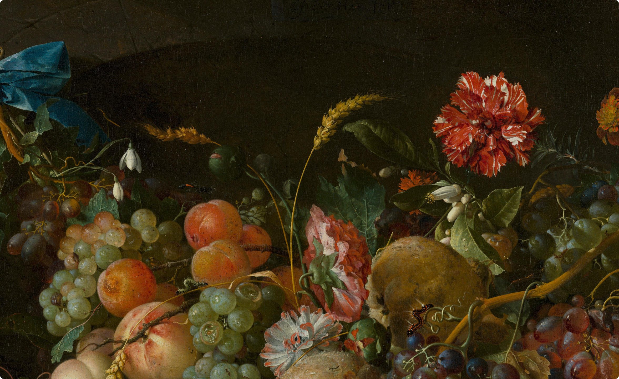 SOMOGY_header.jpg