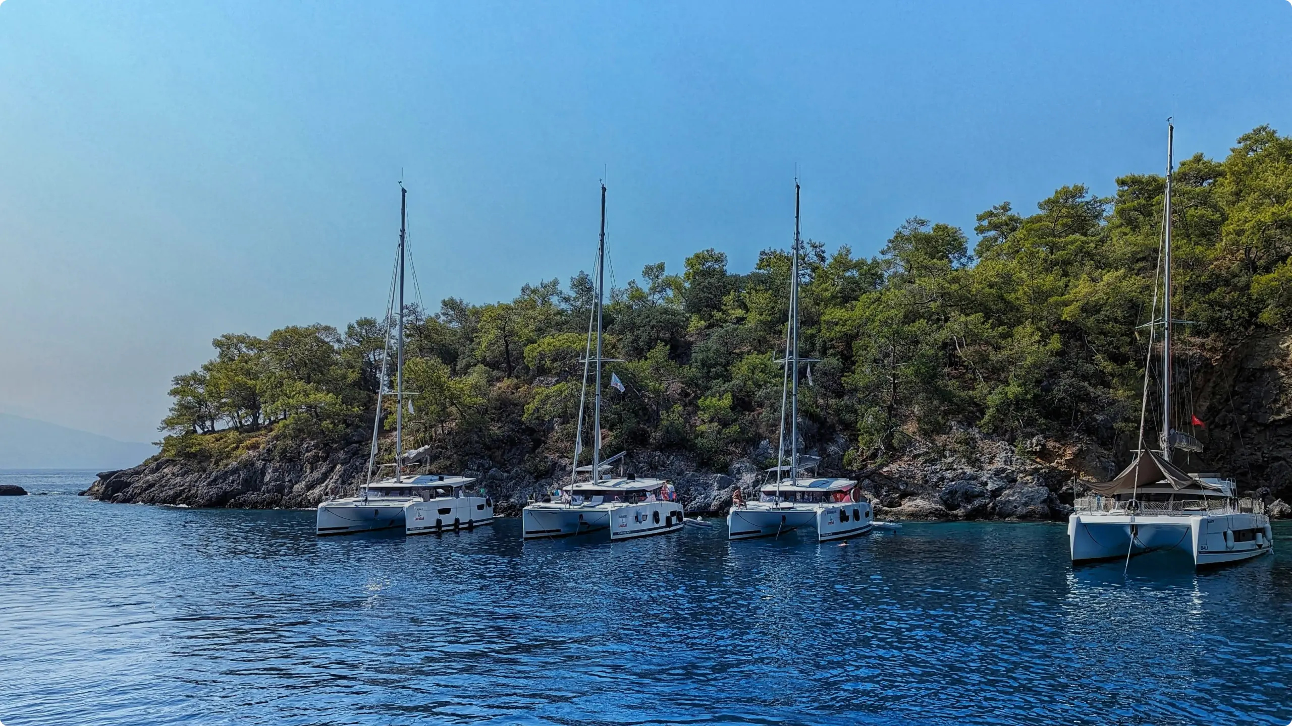 SAFO_miniature-en_tete.jpg