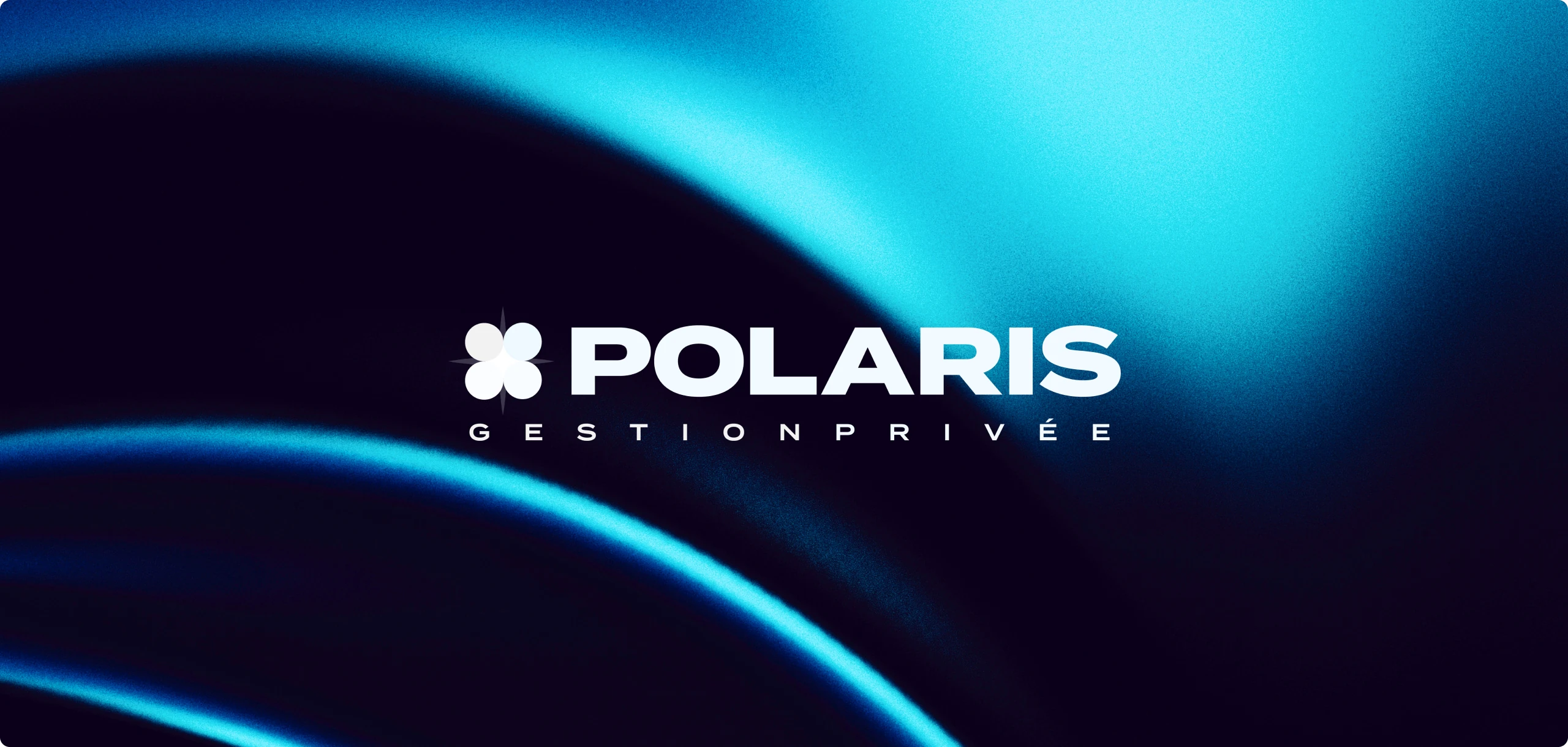 POLARIS_miniature.jpg