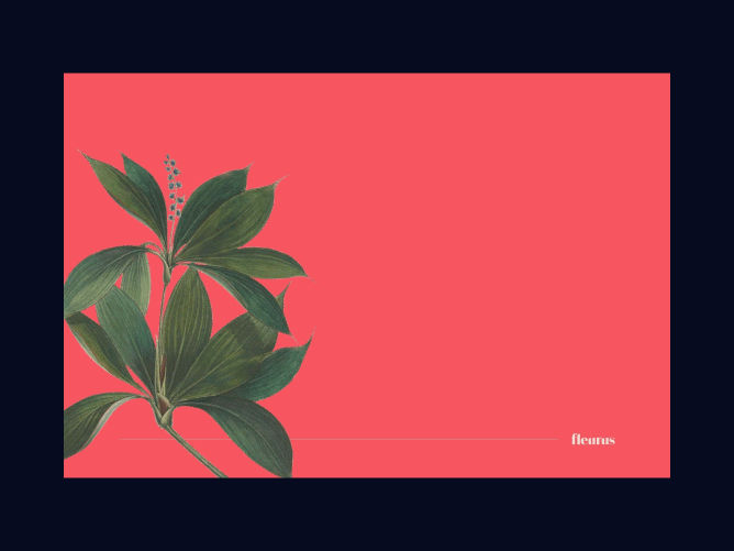 fleurus_04.gif