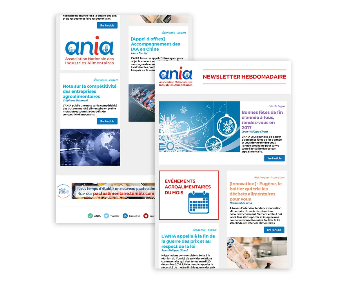 aniasite_3-1.jpg